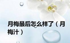 月梅最后怎么样了（月梅汁）