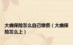 大病保险怎么自己缴费（大病保险怎么上）