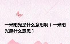 一米阳光是什么意思啊（一米阳光是什么意思）