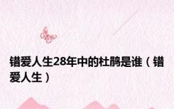 错爱人生28年中的杜鹃是谁（错爱人生）