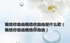 我给你自由我给你自由是什么歌（我给你自由我给你自由）