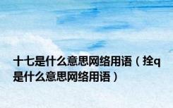 十七是什么意思网络用语（拴q是什么意思网络用语）