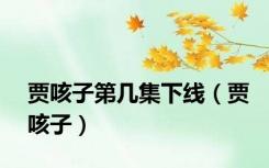 贾咳子第几集下线（贾咳子）