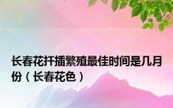长春花扦插繁殖最佳时间是几月份（长春花色）