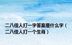 二八佳人打一字答案是什么字（二八佳人打一个生肖）
