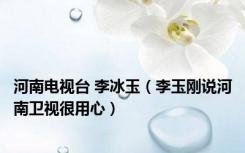 河南电视台 李冰玉（李玉刚说河南卫视很用心）