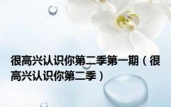 很高兴认识你第二季第一期（很高兴认识你第二季）