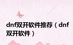 dnf双开软件推荐（dnf双开软件）