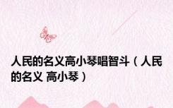 人民的名义高小琴唱智斗（人民的名义 高小琴）