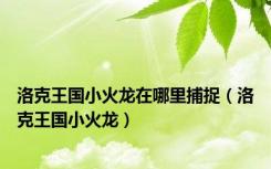 洛克王国小火龙在哪里捕捉（洛克王国小火龙）