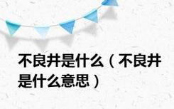 不良井是什么（不良井是什么意思）