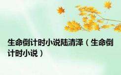 生命倒计时小说陆清泽（生命倒计时小说）