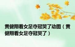 黄健翔看女足夺冠哭了动图（黄健翔看女足夺冠哭了）
