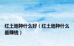 红土地种什么好（红土地种什么最赚钱）