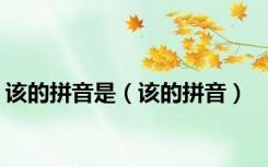 该的拼音是（该的拼音）
