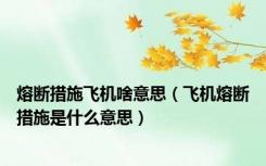 熔断措施飞机啥意思（飞机熔断措施是什么意思）