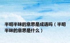 半明半昧的意思是成语吗（半明半昧的意思是什么）