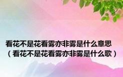 看花不是花看雾亦非雾是什么意思（看花不是花看雾亦非雾是什么歌）
