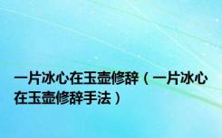 一片冰心在玉壶修辞（一片冰心在玉壶修辞手法）