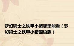 梦幻骑士之铁甲小猪哪里能看（梦幻骑士之铁甲小猪国语版）