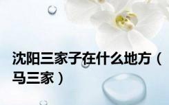 沈阳三家子在什么地方（马三家）