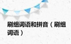 刷组词语和拼音（刷组词语）