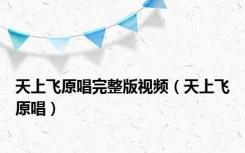 天上飞原唱完整版视频（天上飞原唱）