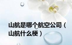 山航是哪个航空公司（山航什么梗）