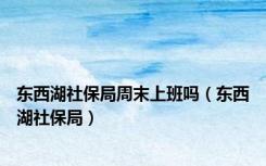 东西湖社保局周末上班吗（东西湖社保局）