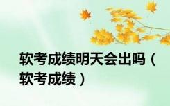 软考成绩明天会出吗（软考成绩）