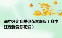 命中注定我爱你花絮泰版（命中注定我爱你花絮）