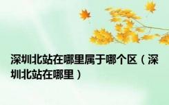 深圳北站在哪里属于哪个区（深圳北站在哪里）
