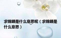 求锦鲤是什么意思呢（求锦鲤是什么意思）