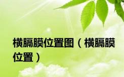 横膈膜位置图（横膈膜位置）