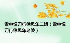 雪中悍刀行徐凤年二姐（雪中悍刀行徐凤年老婆）