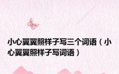 小心翼翼照样子写三个词语（小心翼翼照样子写词语）