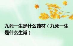 九死一生是什么药材（九死一生是什么生肖）