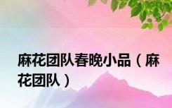 麻花团队春晚小品（麻花团队）