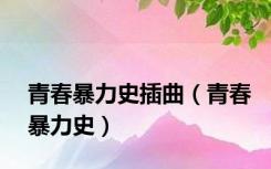 青春暴力史插曲（青春暴力史）