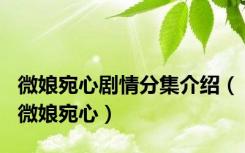 微娘宛心剧情分集介绍（微娘宛心）