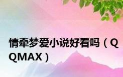 情牵梦爱小说好看吗（QQMAX）