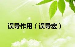 误导作用（误导宏）