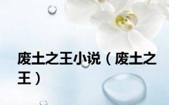 废土之王小说（废土之王）
