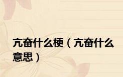 亢奋什么梗（亢奋什么意思）