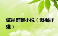 傲视群雄小说（傲视群雄）