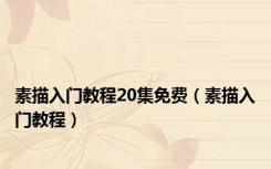 素描入门教程20集免费（素描入门教程）