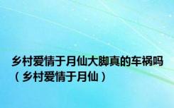 乡村爱情于月仙大脚真的车祸吗（乡村爱情于月仙）