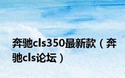 奔驰cls350最新款（奔驰cls论坛）