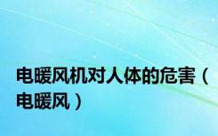 电暖风机对人体的危害（电暖风）