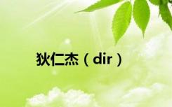 狄仁杰（dir）